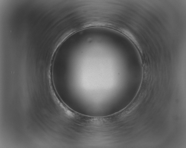 X0000073950906200608281212