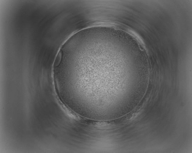 X0000073950907200608281212