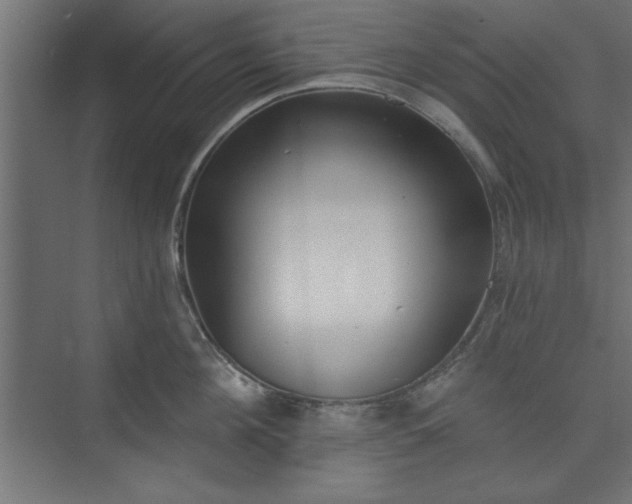 X0000073950908200608281212