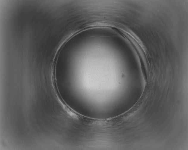 X0000073950909200608281212