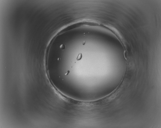 X0000073950910200608281212