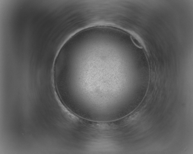 X0000073950911200608281212