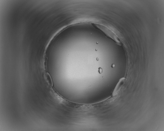 X0000073950912200608281212