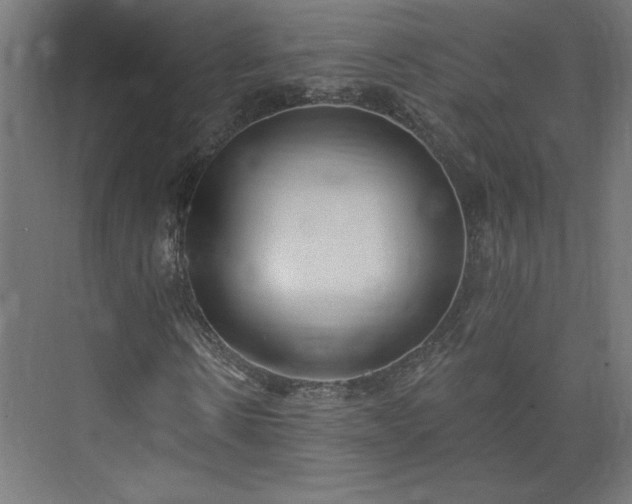 X0000073950914200608281211