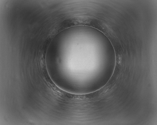 X0000073950915200608281211