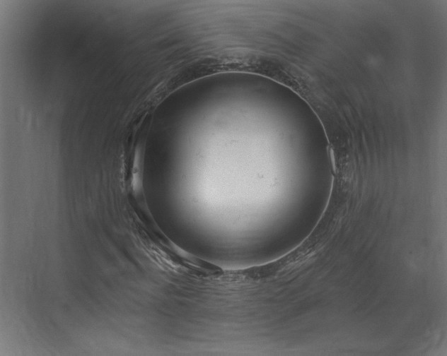 X0000073950916200608281211