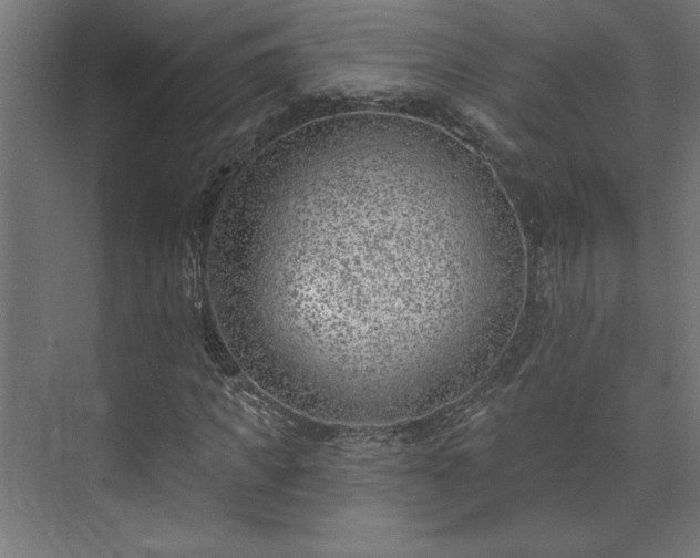 X0000073950917200608281211