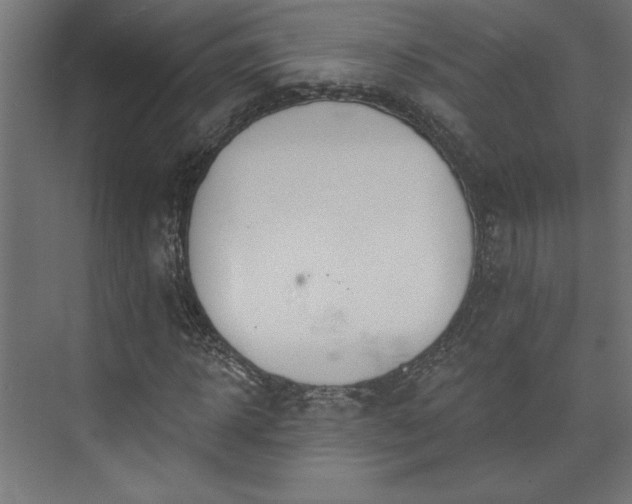 X0000073950918200608281211