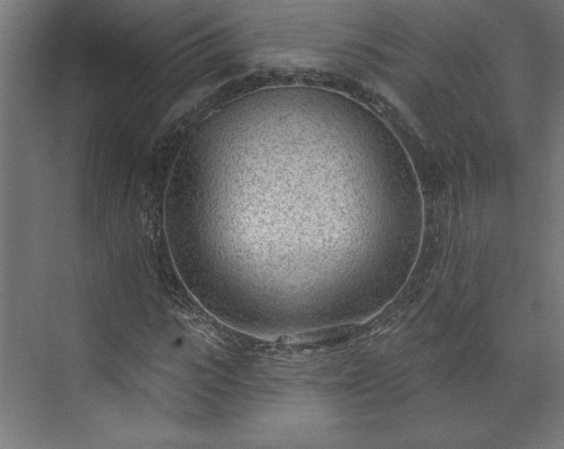 X0000073950919200608281211