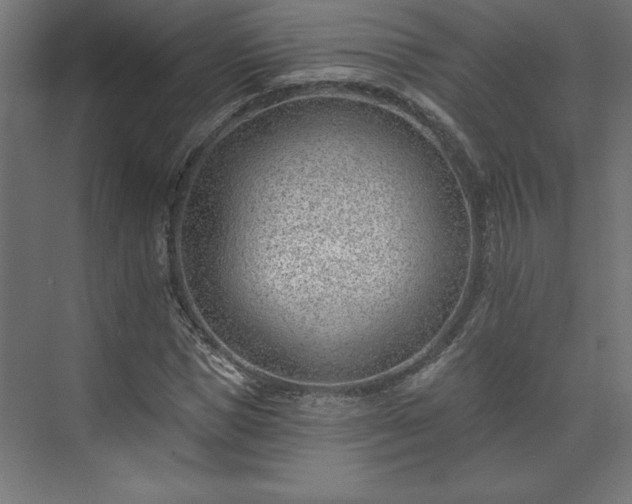 X0000073950921200608281211