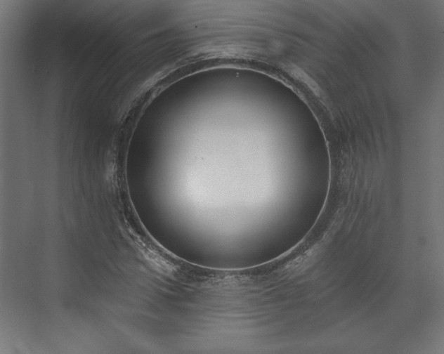 X0000073950922200608281211