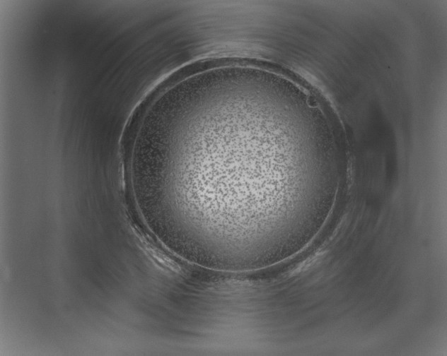 X0000073950925200608281211