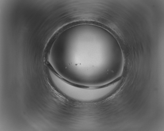 X0000073950926200608281211