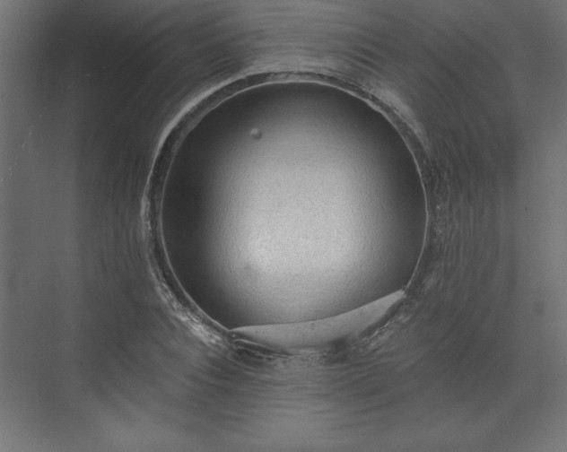 X0000073950928200608281211