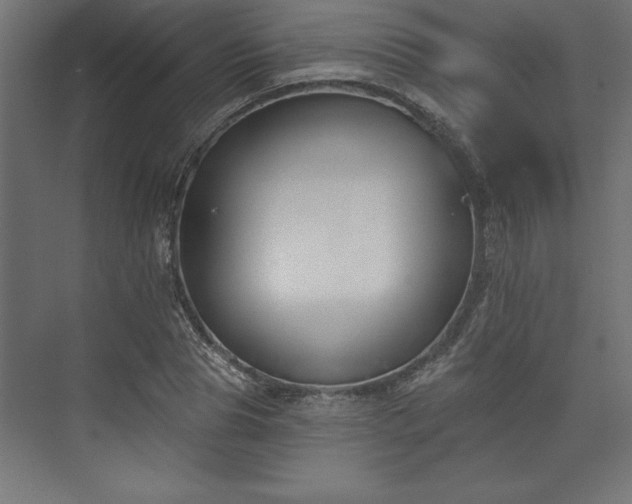 X0000073950929200608281211