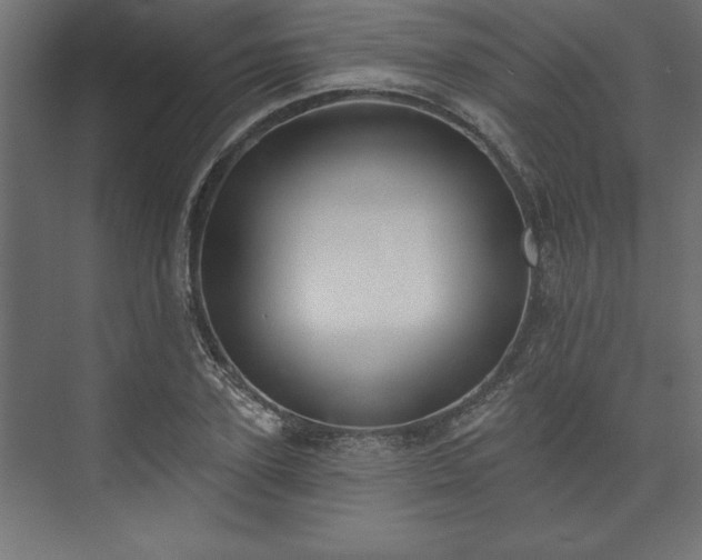 X0000073950931200608281211