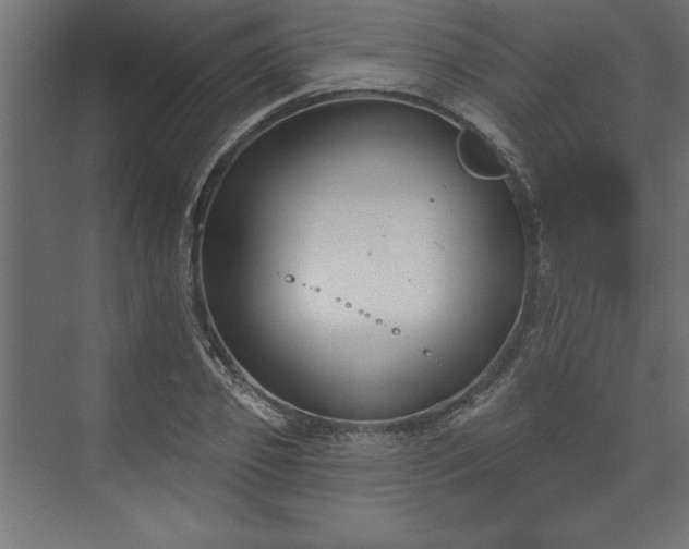 X0000073950933200608281211