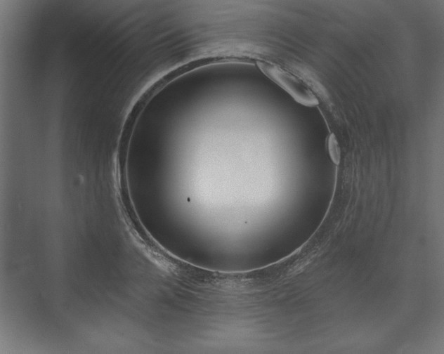 X0000073950936200608281211