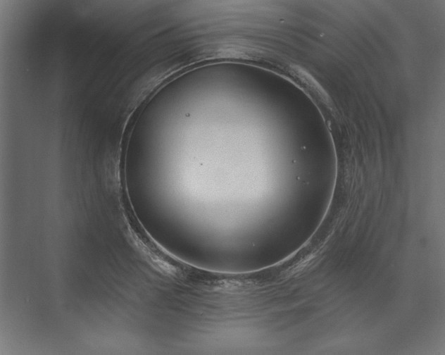 X0000073950938200608281211