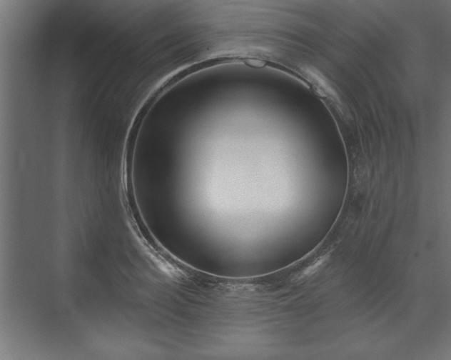 X0000073950940200608281211