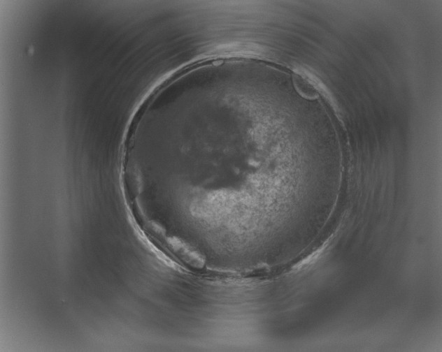 X0000073950941200608281211