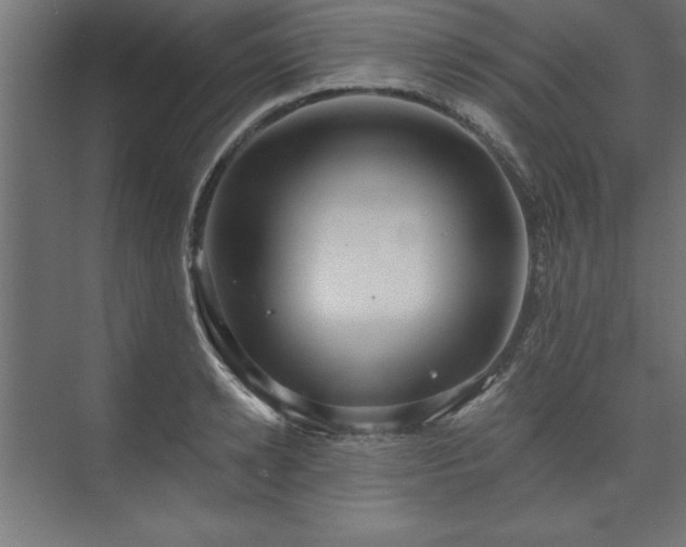 X0000073950942200608281211