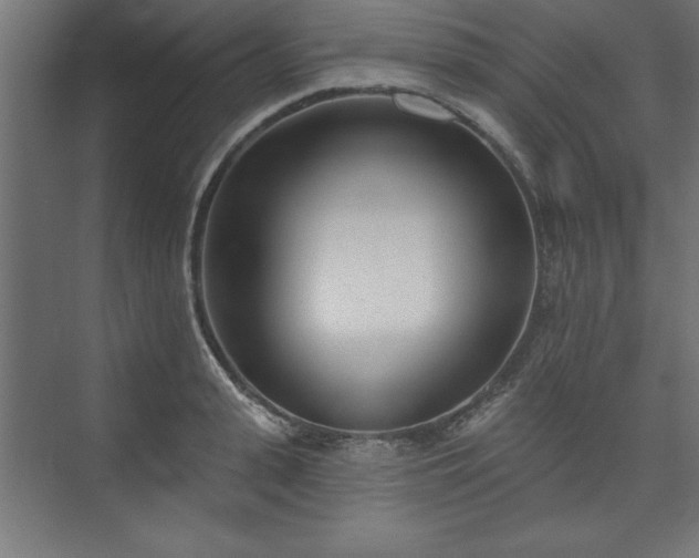 X0000073950943200608281211