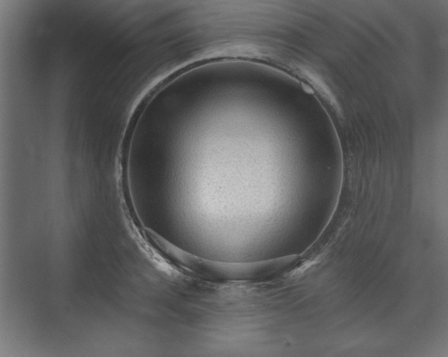 X0000073950944200608281211