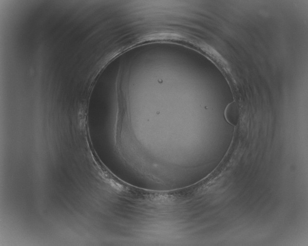 X0000073950945200608281211