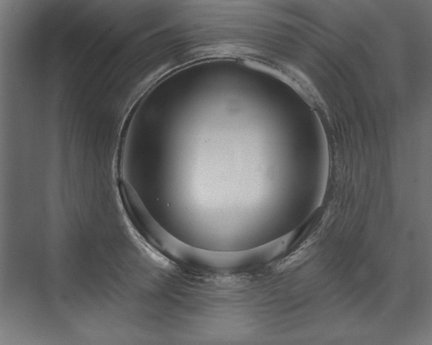 X0000073950946200608281211