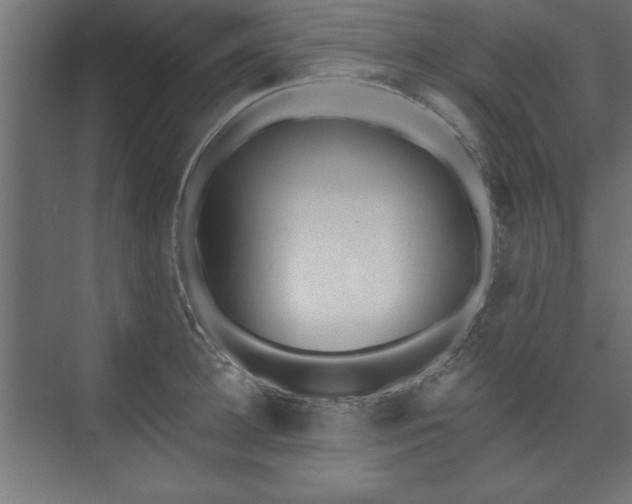 X0000073950948200608281211