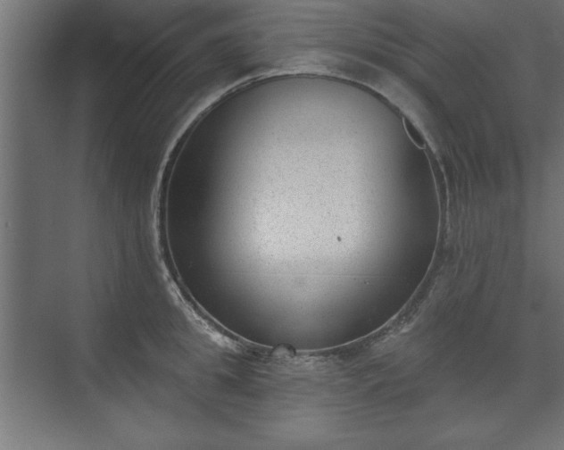 X0000073950949200608281211