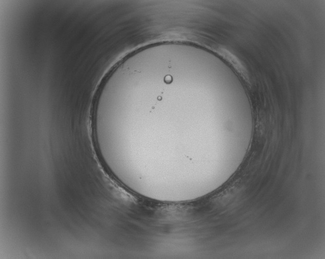 X0000073950950200608281211