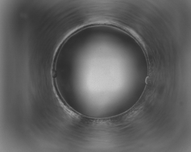 X0000073950951200608281211