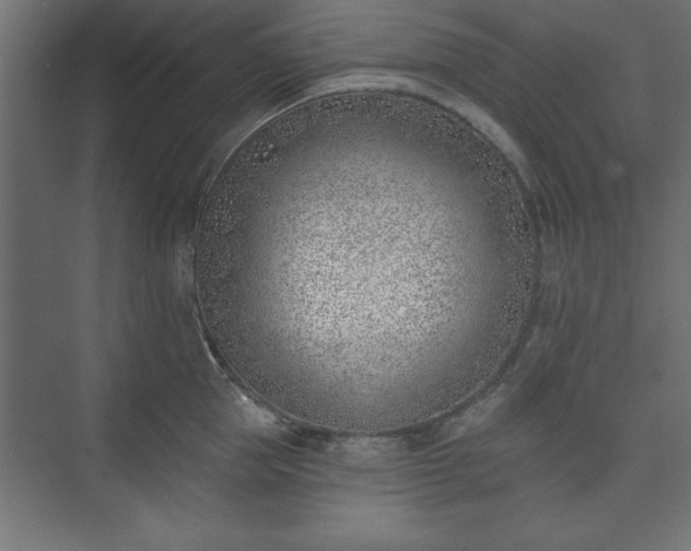 X0000073950953200608281212