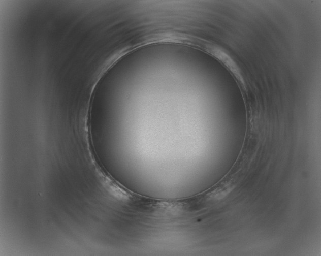 X0000073950954200608281212