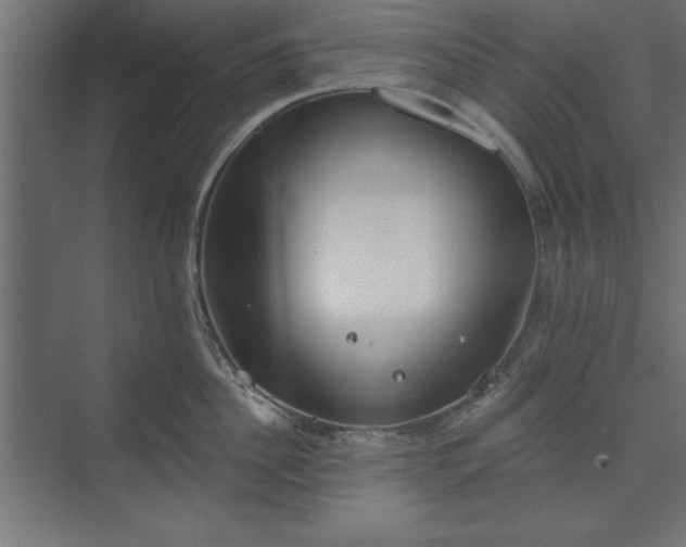 X0000073950956200608281212