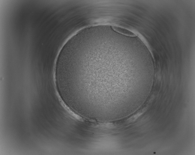 X0000073950957200608281212