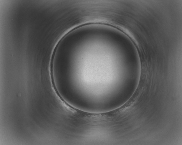 X0000073950959200608281212