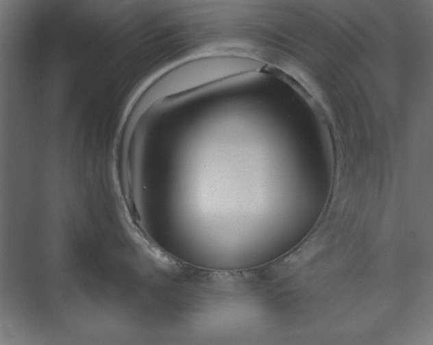 X0000073950960200608281212