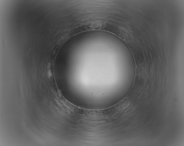 X0000073950962200608281211