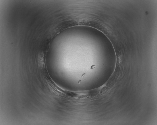 X0000073950963200608281211