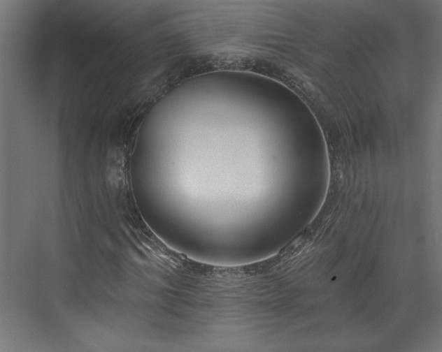 X0000073950964200608281211