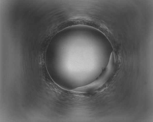 X0000073950965200608281211