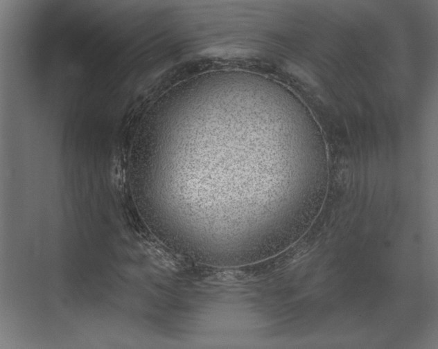 X0000073950966200608281211