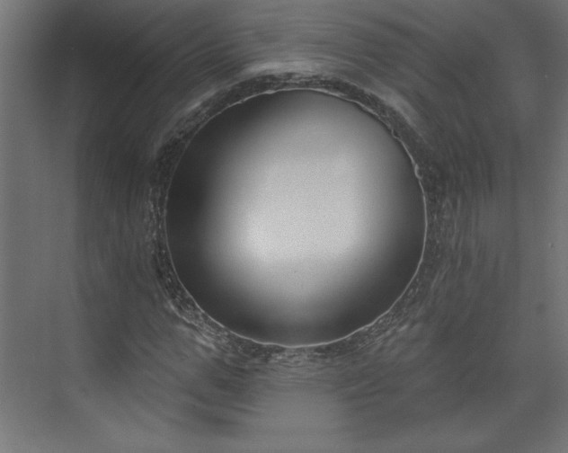 X0000073950967200608281211