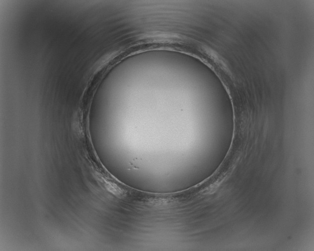 X0000073950970200608281211