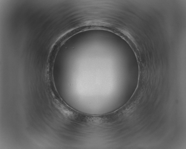 X0000073950971200608281211