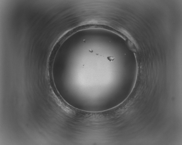 X0000073950972200608281211