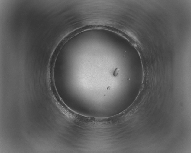 X0000073950976200608281211